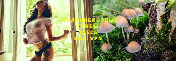 2c-b Балабаново