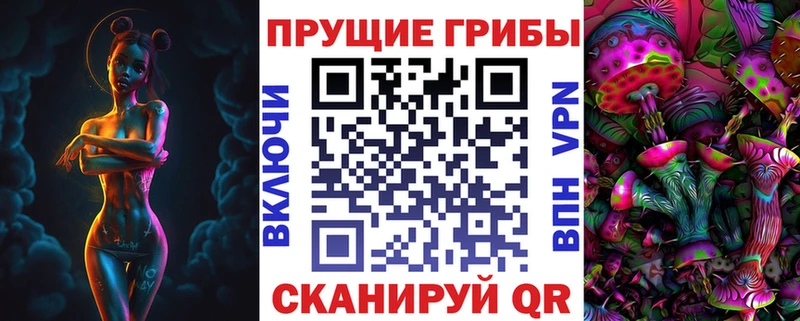 Псилоцибиновые грибы Cubensis  Сокол 